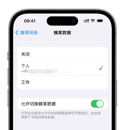道滘镇苹果维修服务分享如何在iPhone上使用双卡 